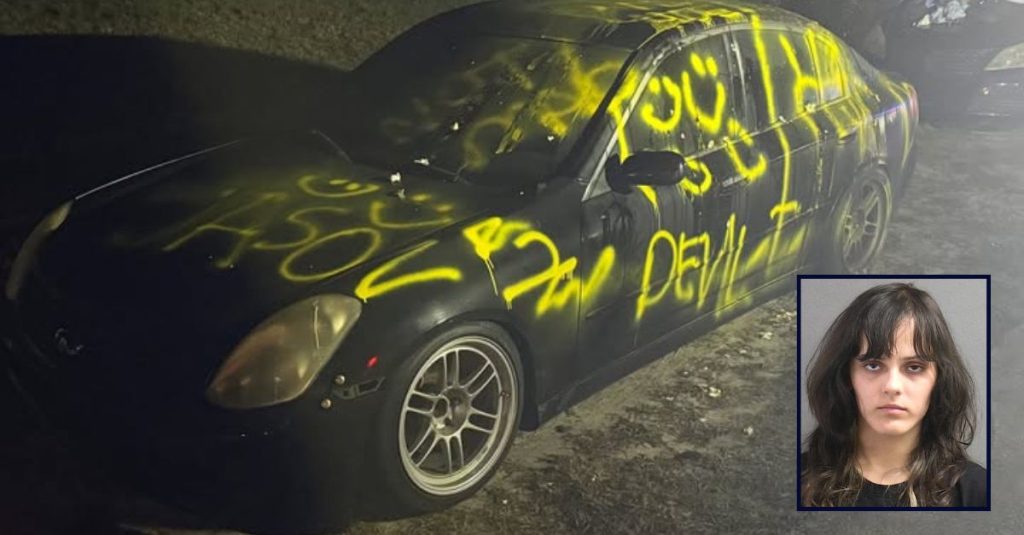 Teen trying to get back at ex spray paints wrong car: Cops