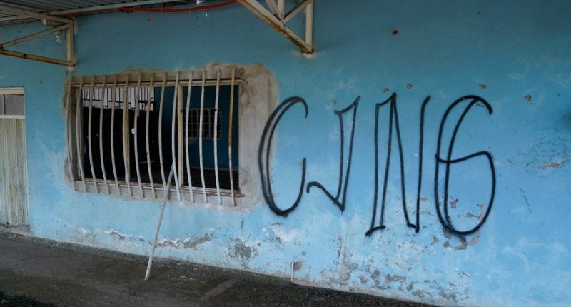 Terror designation might prompt cartels to target Americans: Expert