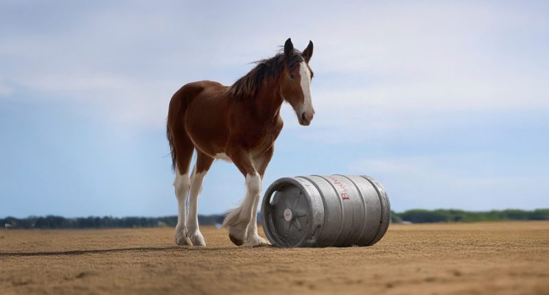 The 2025 Super Bowl commercials already catching attention