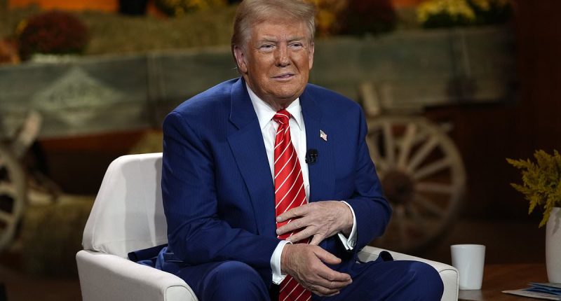 The truth behind Donald Trump's mysteriously bruised right hand... and why it won't go away