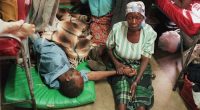 This is what happens to the body when HIV drugs are stopped for millions of people