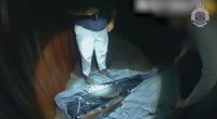 Three men have been charged in relation to firearms allegedly stolen in Brisbane's north