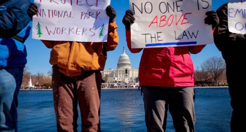 Trails, bathrooms, wait times: How National Park staffing cuts could impact your next visit