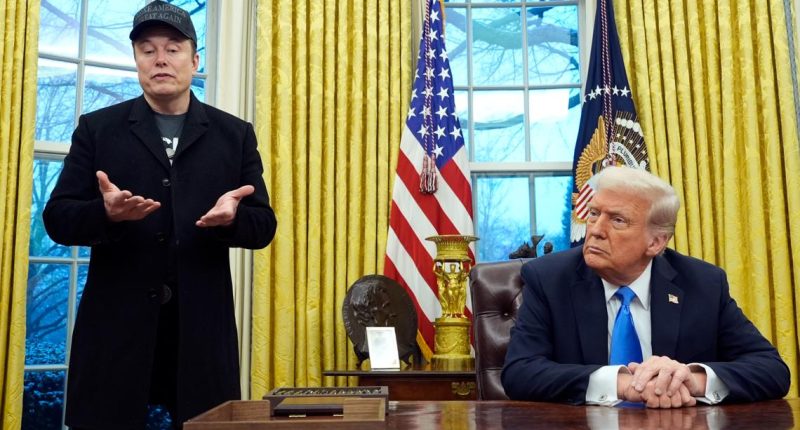 Trump, Elon Musk support idea for 'DOGE Dividend' payments to Americans