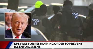 Trump ICE agents have 'unchecked authority' in schools: Suit