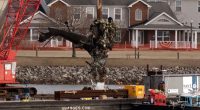 Trump blames 'obsolete' US air traffic control system for the plane and chopper collision near DC