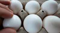 An egg in a carton is handled in Dallas, on Friday, Feb. 7, 2025. (AP Photo/LM Otero)