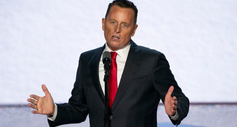 Trump names Grenell as interim Kennedy Center executive director