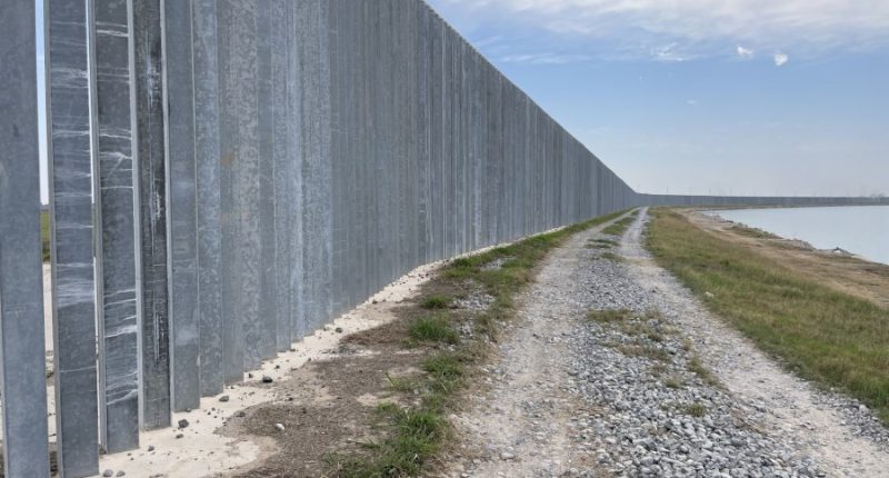 Trump to reinstate Title 42 border policy: Report