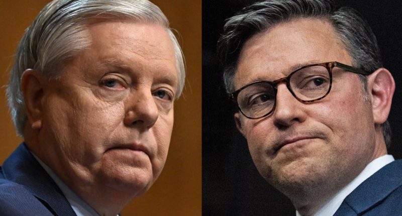 Trump's border czar is 'begging' for money for immigration crackdown, Senate budget chief says