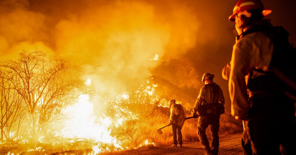 Trump's freeze stalls federal firefighter hiring