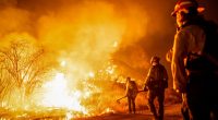 Trump's freeze stalls federal firefighter hiring