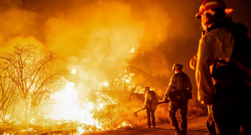 Trump's freeze stalls federal firefighter hiring