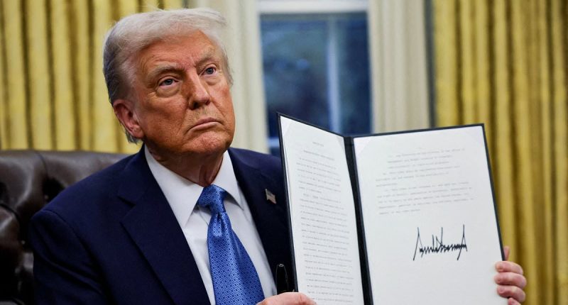 Trump's latest tariff threats on steel and aluminium have allies divided