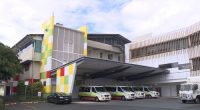 Two people die from soil-borne bacteria during Far North Queensland wet season