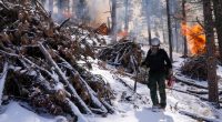 US Forest Service layoffs raise concerns over Colorado wildfires, economy