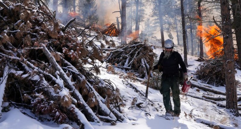 US Forest Service layoffs raise concerns over Colorado wildfires, economy