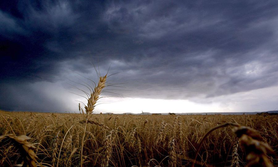 USDA to follow ‘president’s lead’ on foreign farm ownership policy