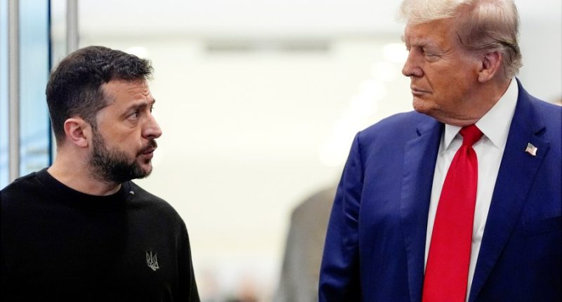 Ukrainian President Zelenskyy expected to sign minerals deal Friday: Trump