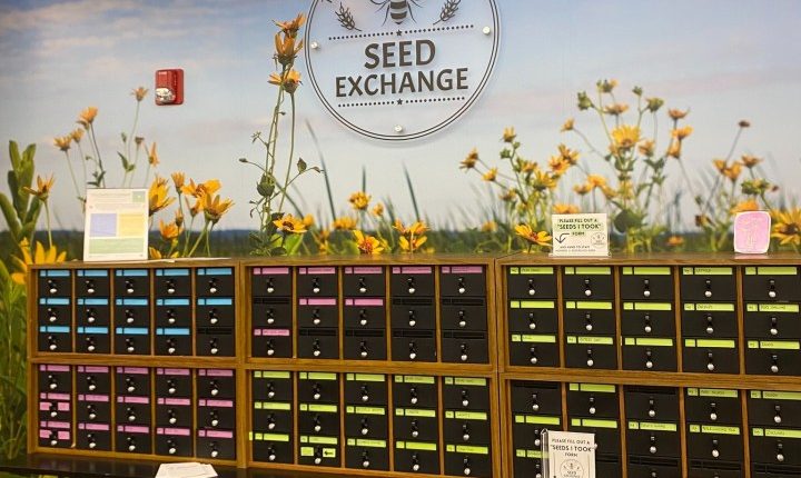 Urbana library helps residents grow gardens with 'Seed Exchange Program'