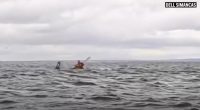 WATCH: Kayaker swallowed by whale off Chile escapes unharmed