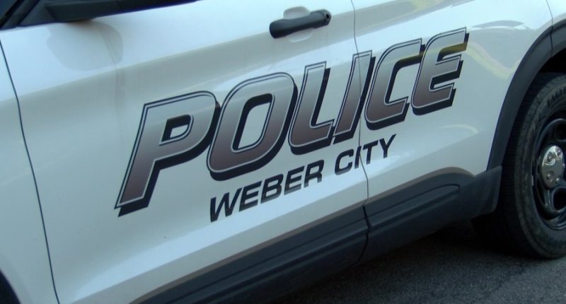Weber City Police Chief commends 'quick actions' of officers who were assaulted during traffic stop