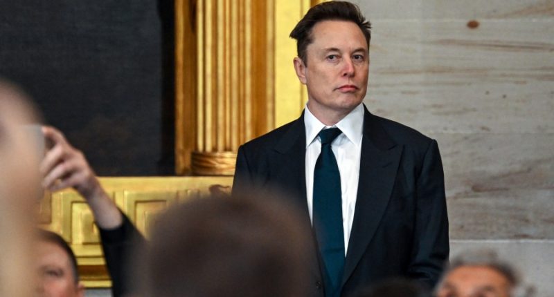 What agencies do Elon Musk, DOGE have access to?