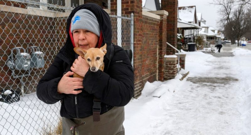 What is a polar vortex? US gets a taste of the Arctic this week