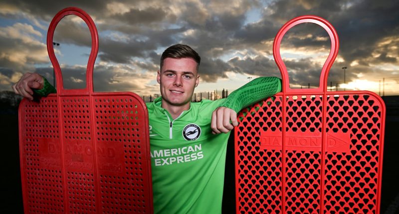 When EVAN FERGUSON met CHRIS SUTTON: As the explosive Brighton striker catches the eye of SIX Premier League rivals late on in the January window, Mail Sport revisits their 2023 sit-down