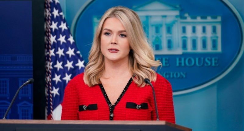 White House press secretary suggests Russia-Ukraine conflict could end 'this week'