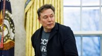White House says Elon Musk is not part of DOGE