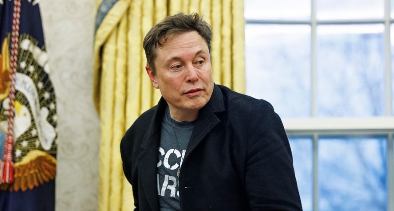 White House says Elon Musk is not part of DOGE