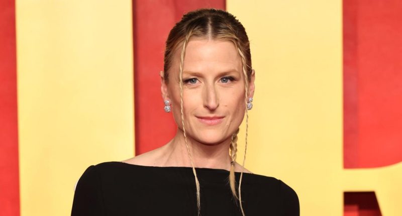 Who Is Mamie Gummer? 5 Things to Know About Meryl Streep's Daughter