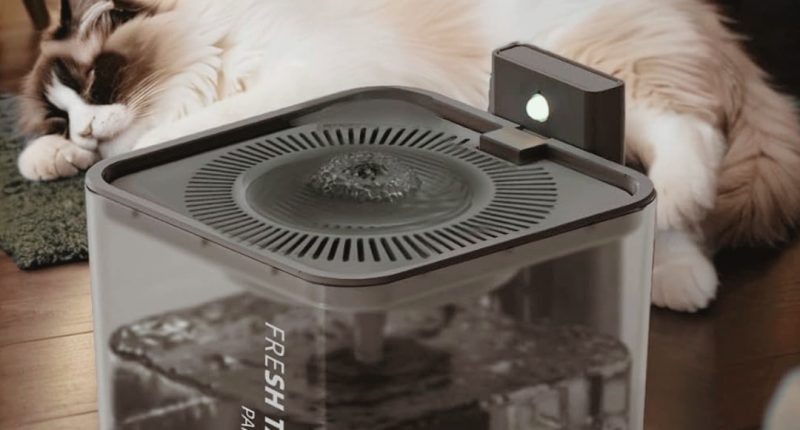 Why Cat Owners Love This Automatic Water Fountain—Now Just $18