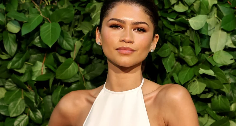 With 'Shrek 5,' Zendaya Returns to Her Roots
