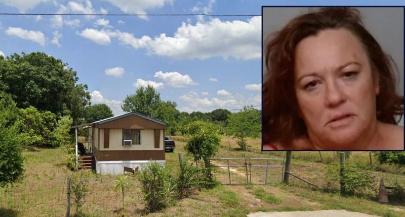 Woman attacks man with garden hoe over canceled plans: Cops