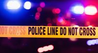 Wreckage of missing plane found in Florida woods