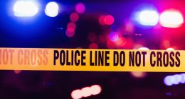 Wreckage of missing plane found in Florida woods