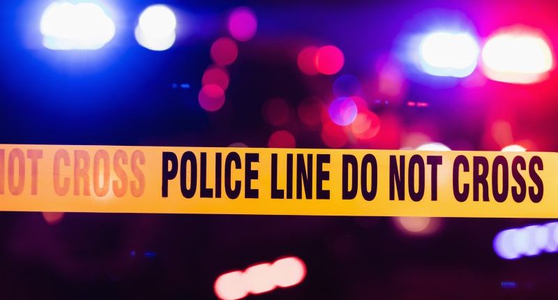 Wreckage of missing plane found in Florida woods