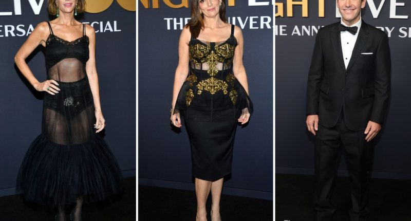 ‘SNL50: The Anniversary Special’ red carpet: Tina Fey, Kristen Wiig, Paul Rudd and more