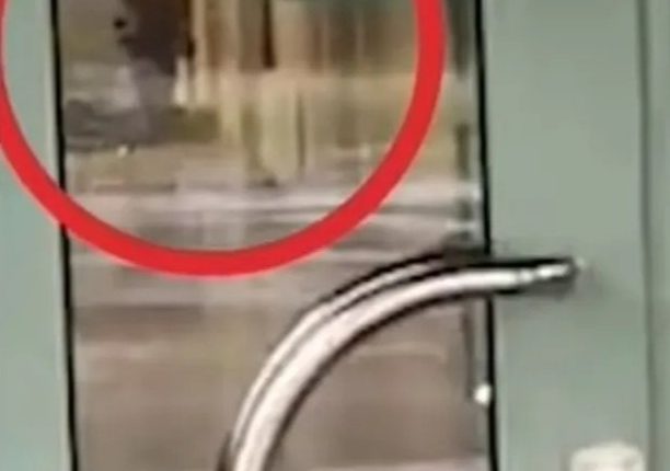 Person seen through glass door.