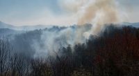 'We are struggling': Red Cross responds to Carolina wildfires, Helene recovery continues