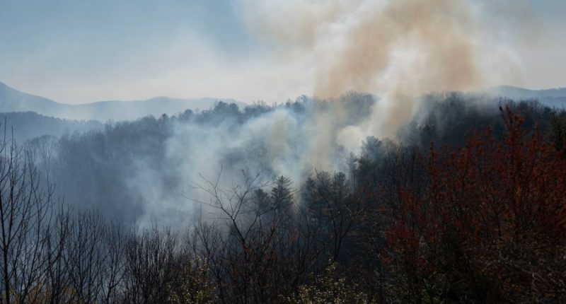 'We are struggling': Red Cross responds to Carolina wildfires, Helene recovery continues