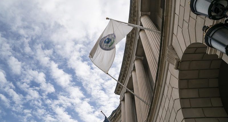 Fired workers return to federal agencies — but are put on paid leave