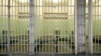 23andMe money woes could expose killers who escaped justice: expert