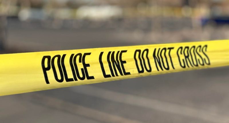3 Arrested in Fatal New Mexico Car Show Shooting