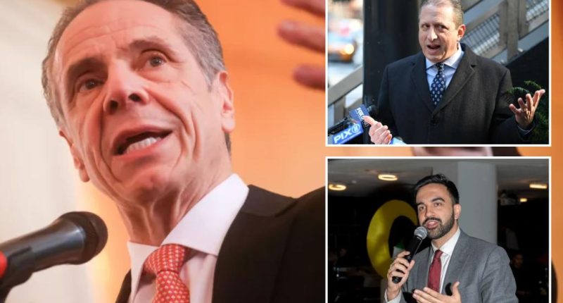 American Jewish Congress touts Cuomo, rips Lander, Mamdani in race for NYC mayor