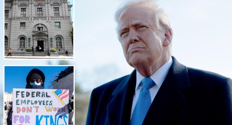 Appeals court denies Trump administration’s bid to pause ruling forcing federal agencies to reinstate fired workers