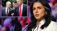 Associated Press removes story wrongly claiming Tulsi Gabbard said Trump, Putin are 'very good friends'