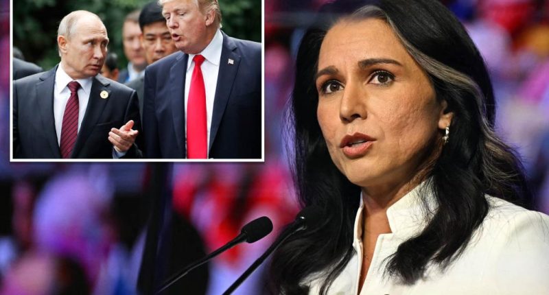Associated Press removes story wrongly claiming Tulsi Gabbard said Trump, Putin are 'very good friends'